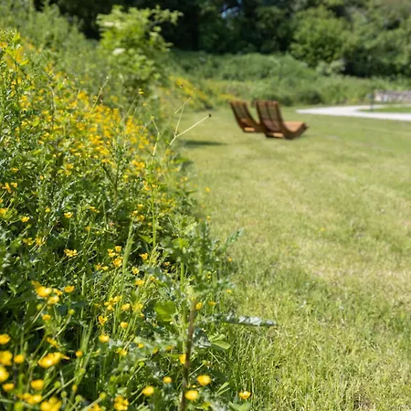 Апартаменты Reethus 22 Loft 3 Тиммендорфер-Штранд